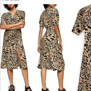 Topshop Leopard Midi dress
